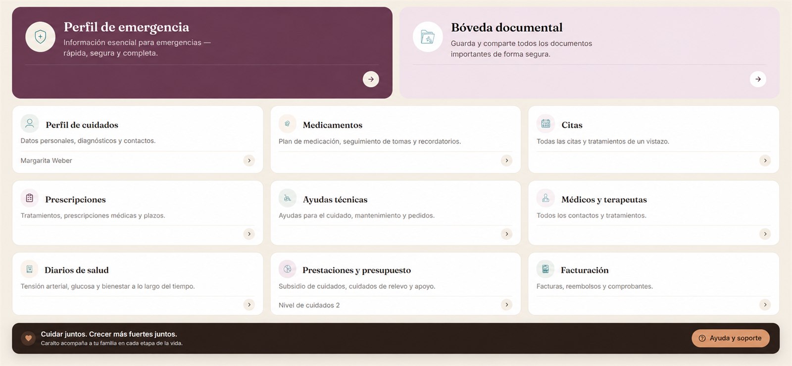 Panel de Caralto: perfil de emergencia, medicamentos, citas y todos los módulos de un vistazo